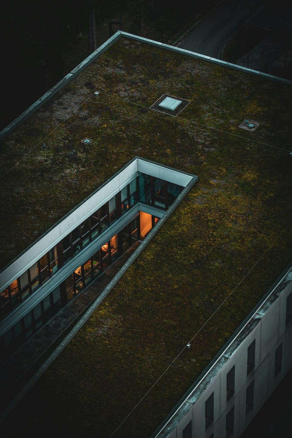 Distillery District Green Roof