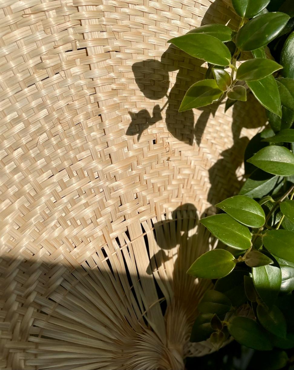 Bamboo Materials