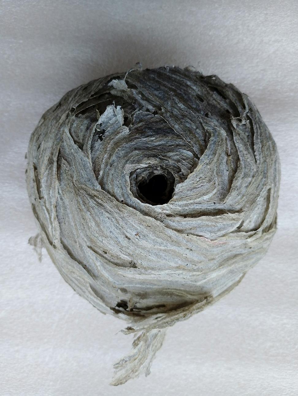 Natural Insulation